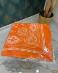 Foulard Paisley 2025-06